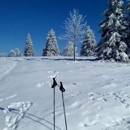 Zum Heideblick Apartmán Winterberg