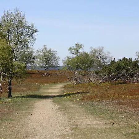 Apartman Zum Heideblick *