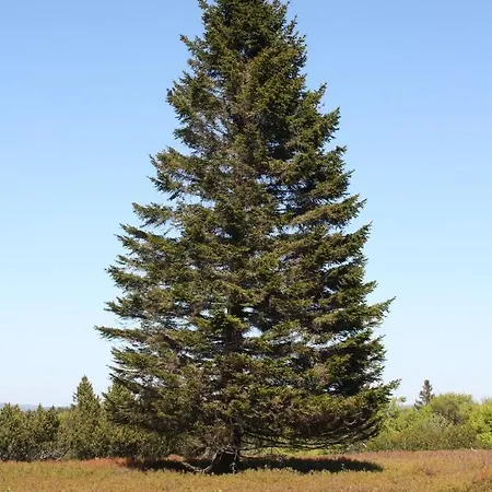 公寓 Zum Heideblick *