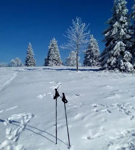 Zum Heideblick Lejlighed Winterberg