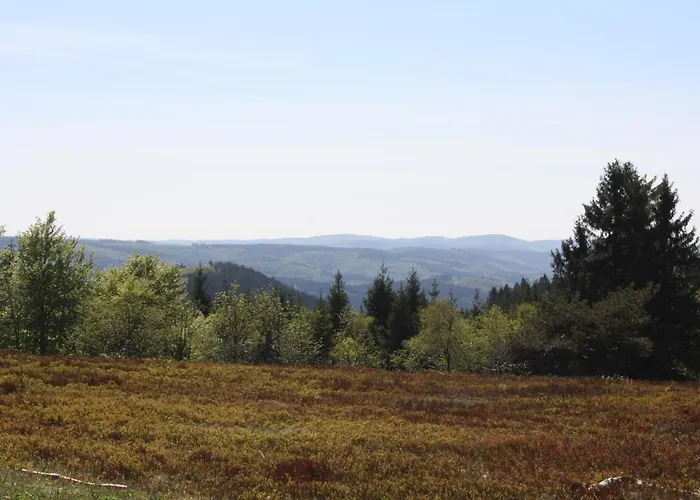 شقة Zum Heideblick *