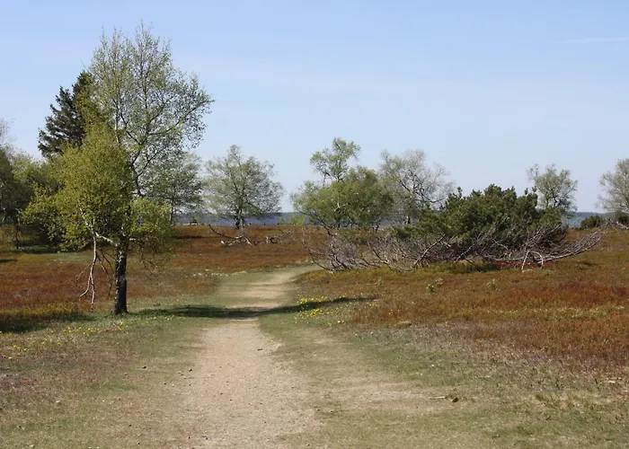 アパート Zum Heideblick *