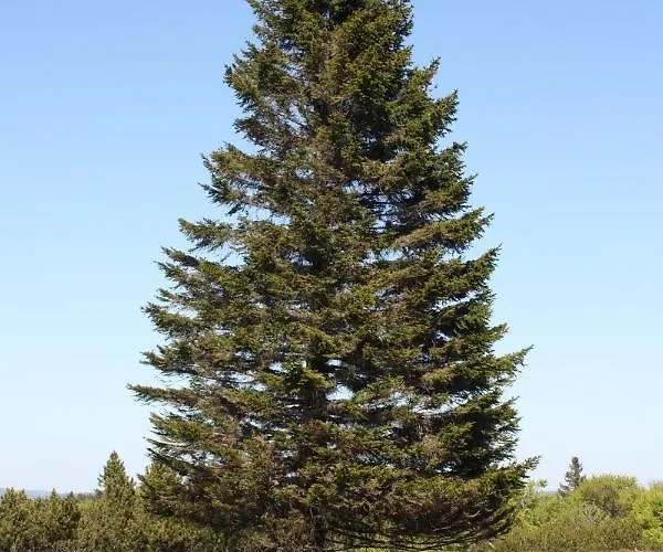 شقة Zum Heideblick *